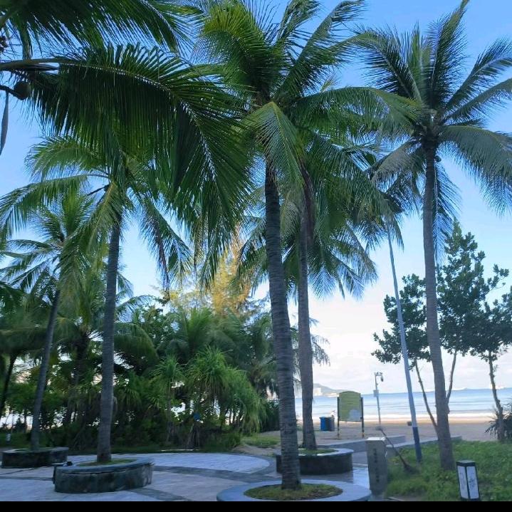 🌴心想事成🌴
