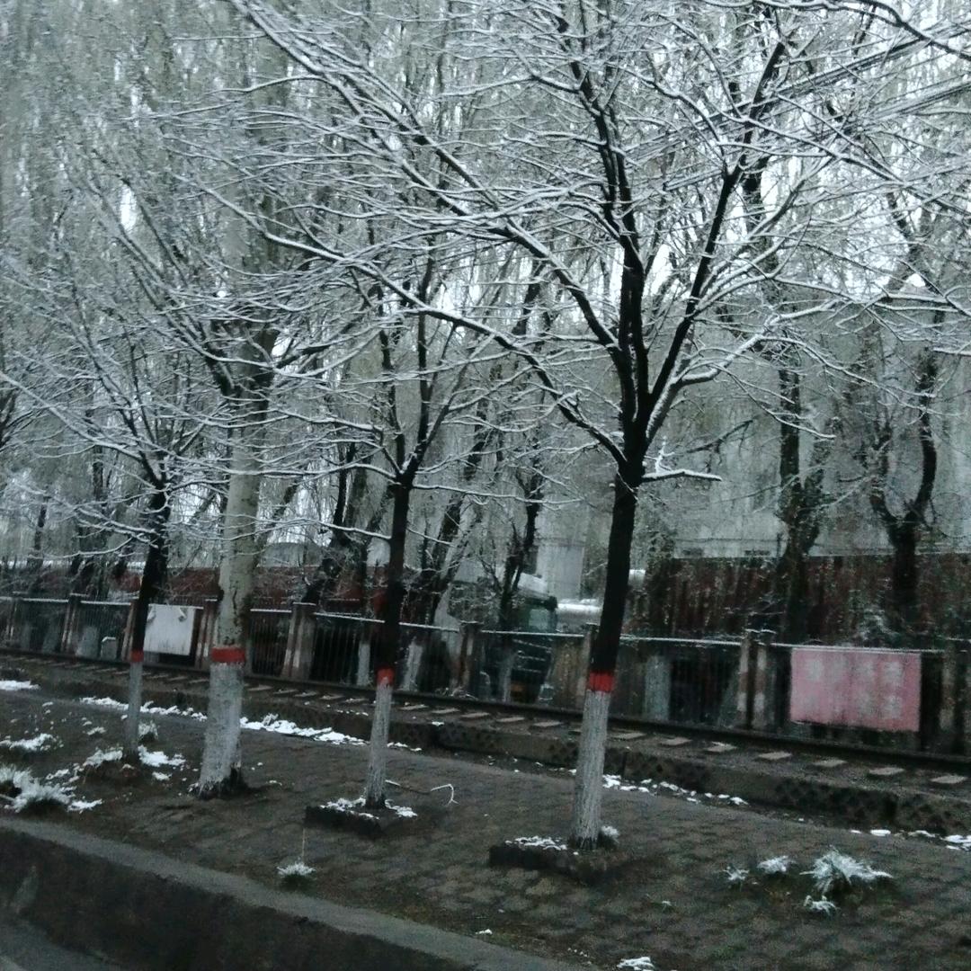 笑红尘
