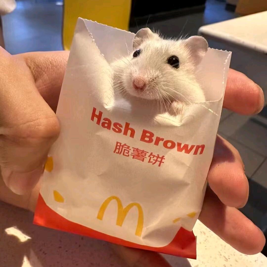 老公在外当0被1狂抽辟谷