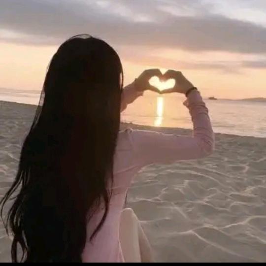 🌹冰山玫瑰🌹