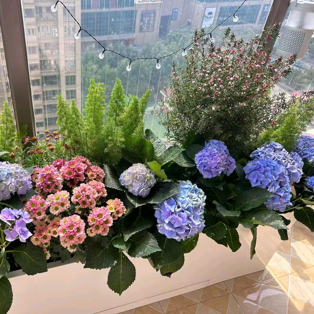 正合全铝花箱工厂店