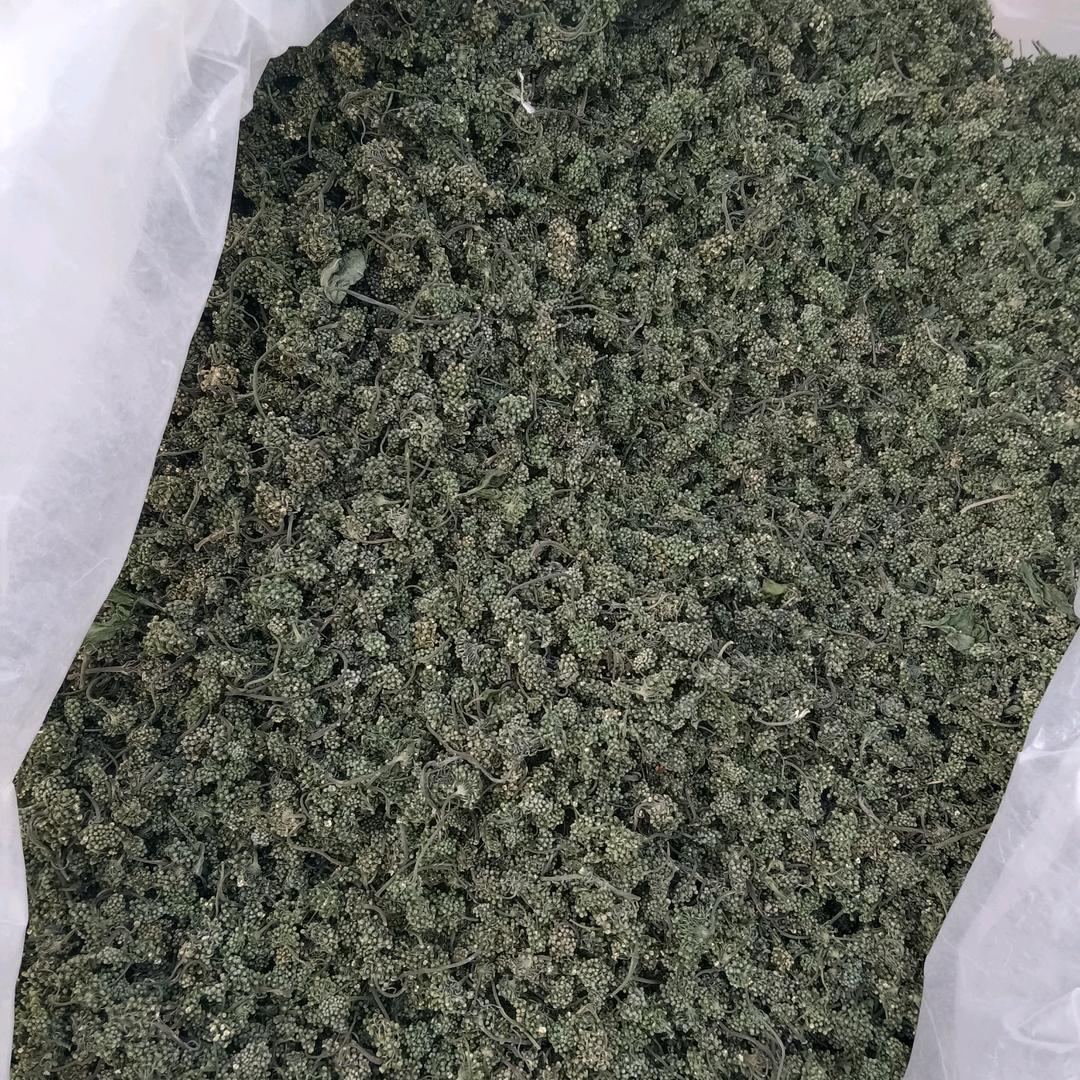 人参灵芝参花特产