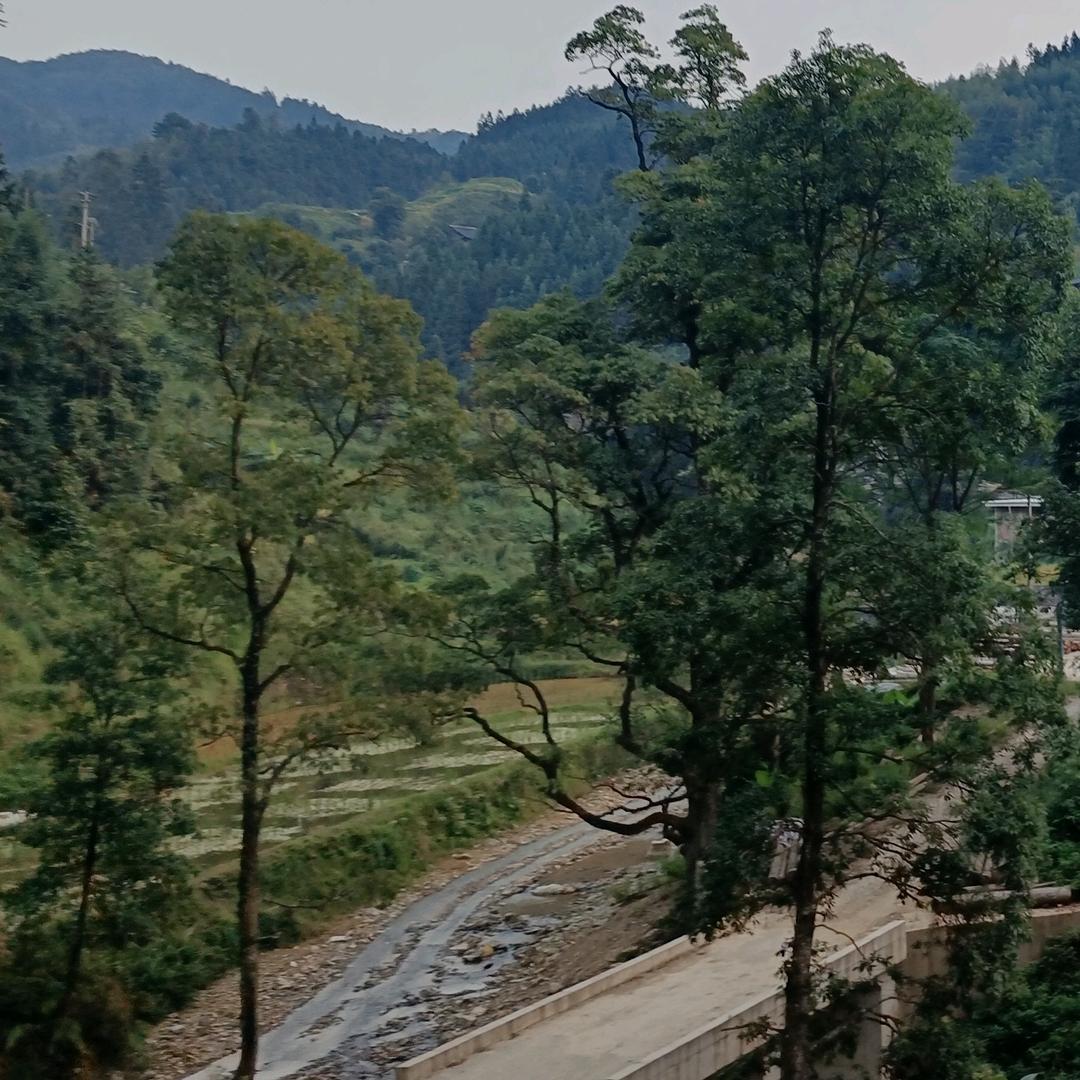 Yangan