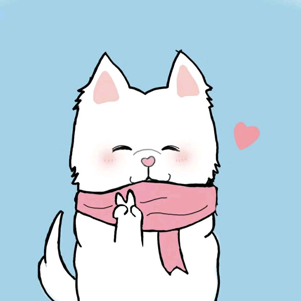 zj橙子君