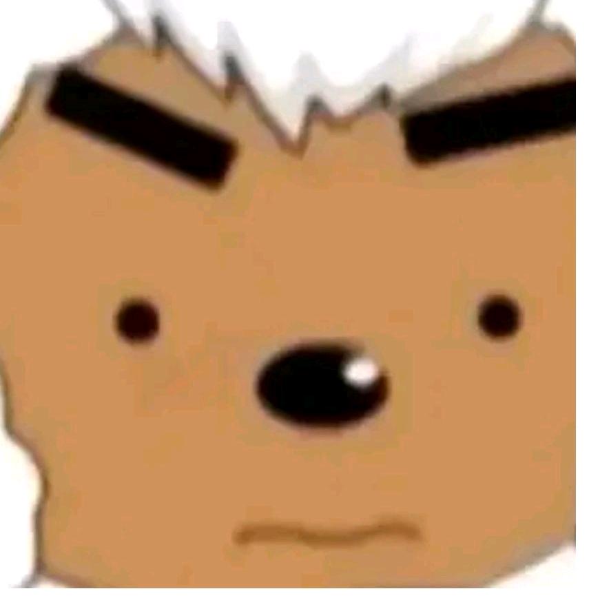 笨笨爱吃饭