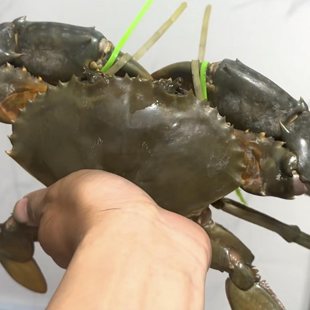 赶海人（列勇哥）