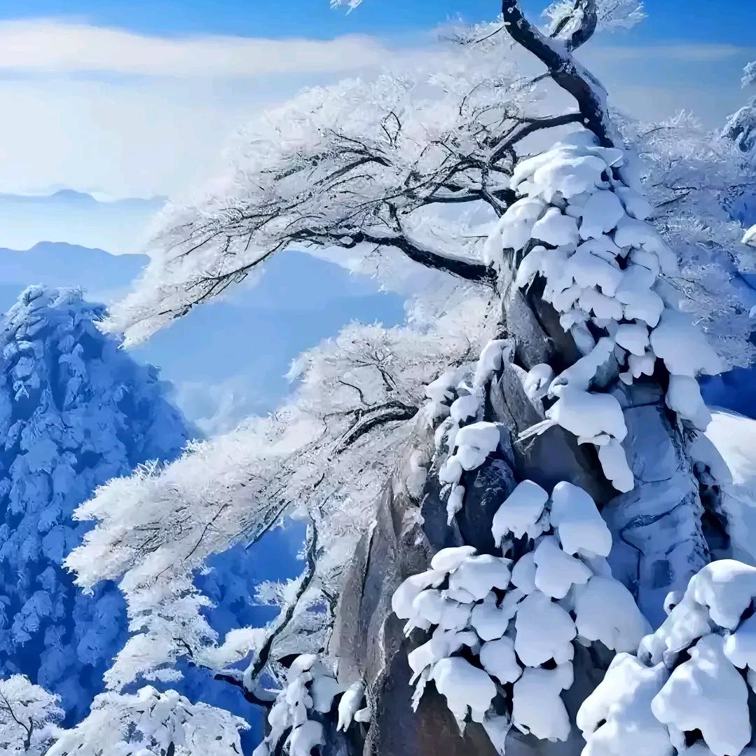 良冰