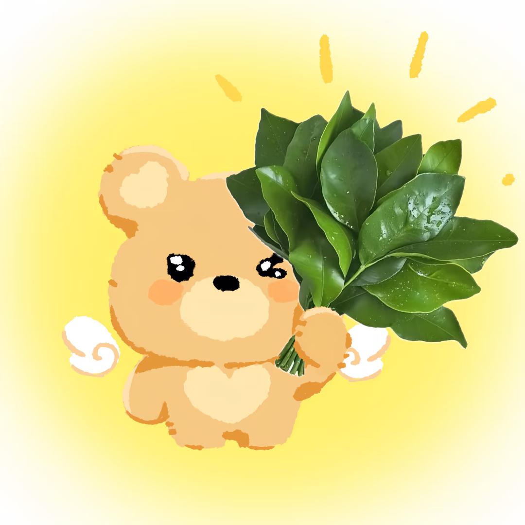 常青树🌲
