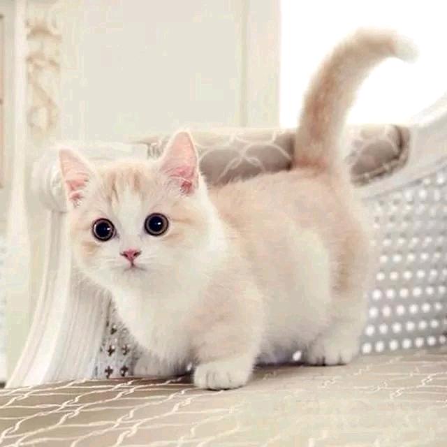 @不念ꦽ過᭨往ꦾᩚ࿐