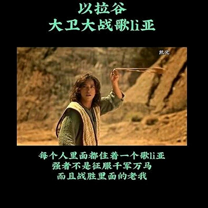 专一哥🌹👨‍✈️
