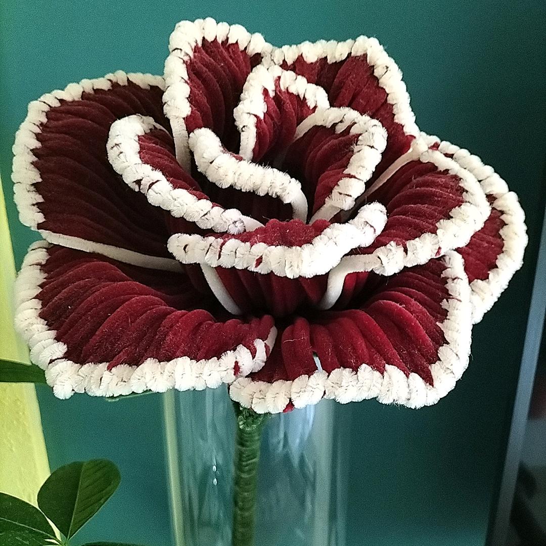 花开富贵～小胖子