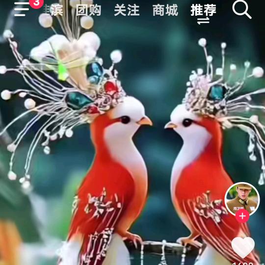 情哥888