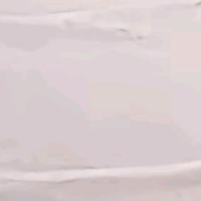羽