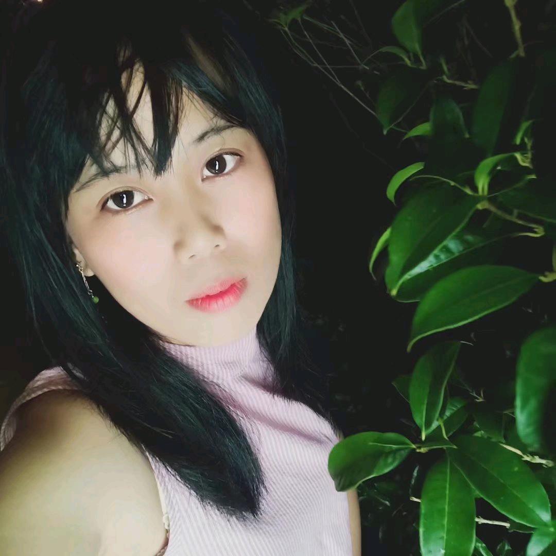 招招