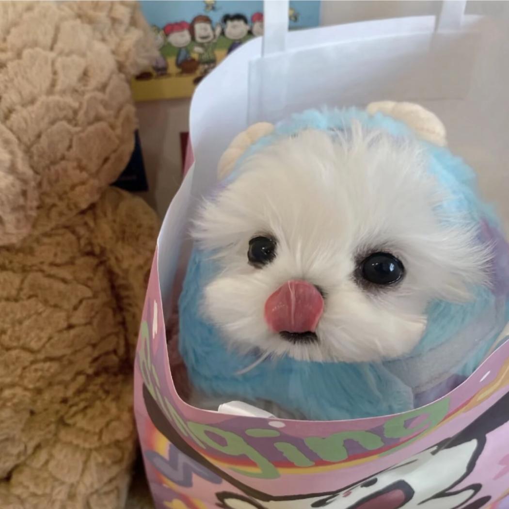 我愛罗ᅠ  ㅤ