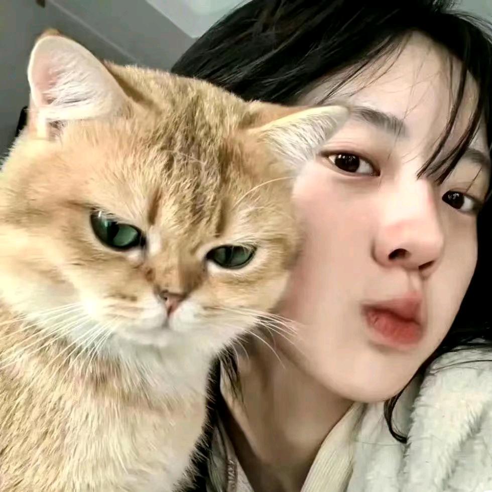西红柿🍅