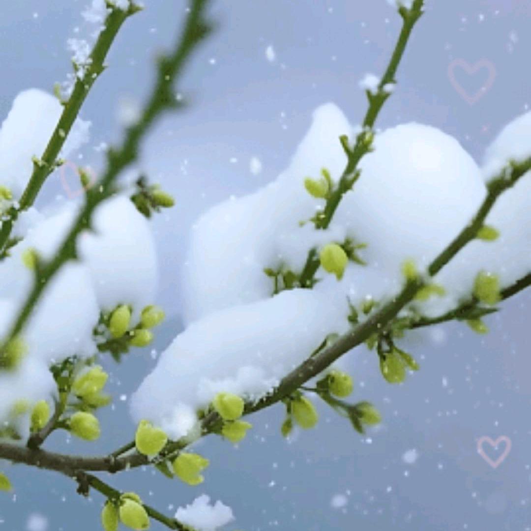 💞᭄风过无痕🕊