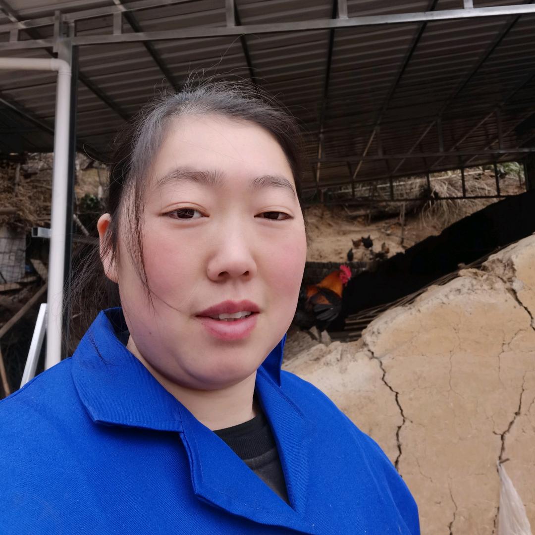 巫溪县成丽生态鸡养殖基地