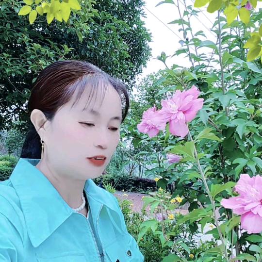 贵州陈姐 (早上八点过直播)