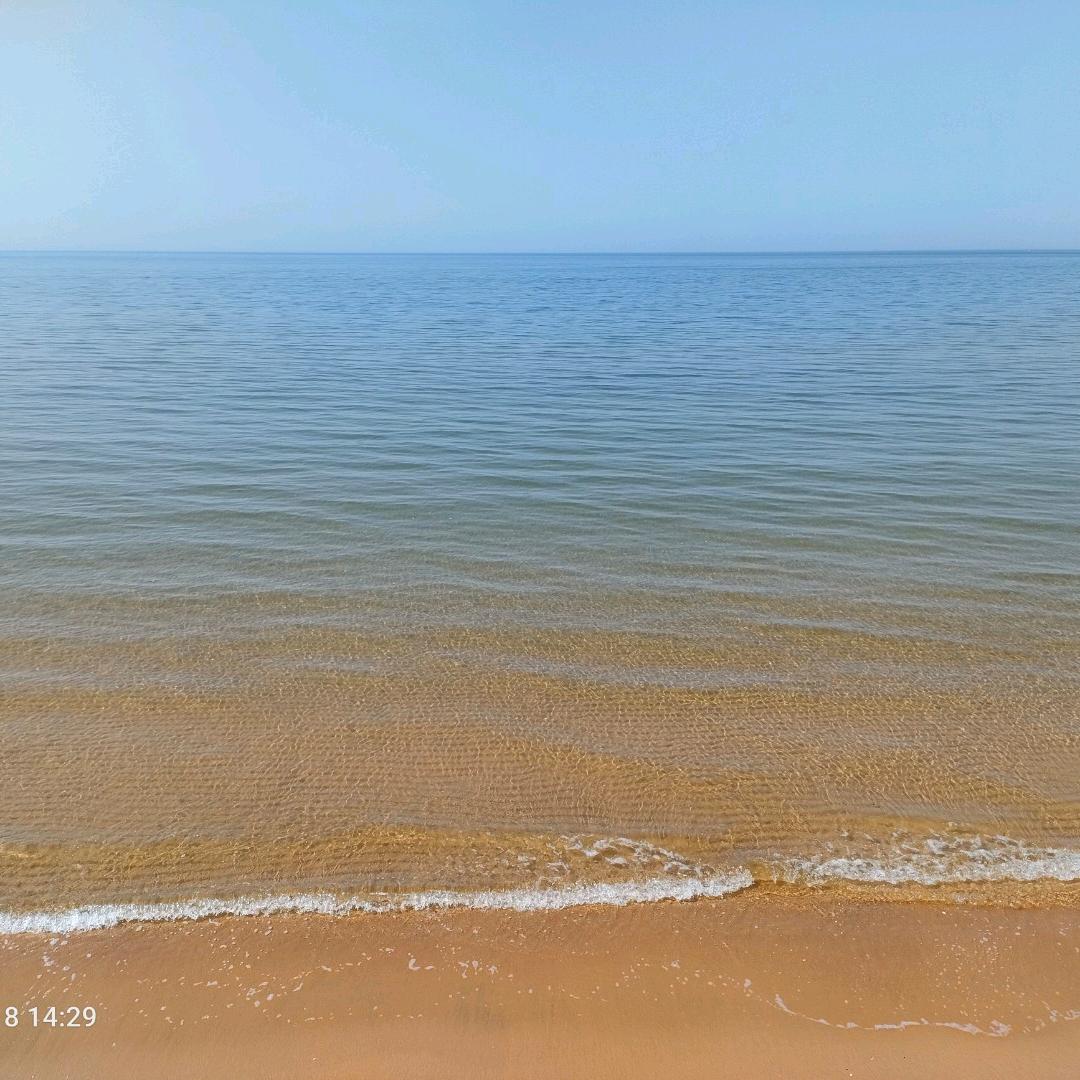 两袋大水牛
