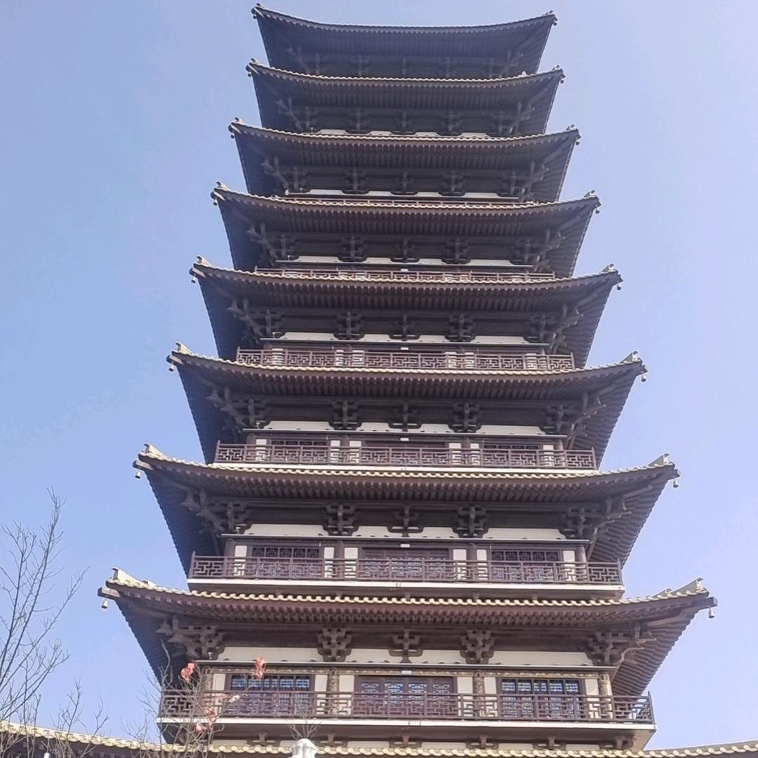 从头再来