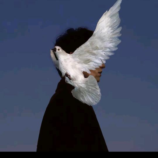 财经职业学院-Q