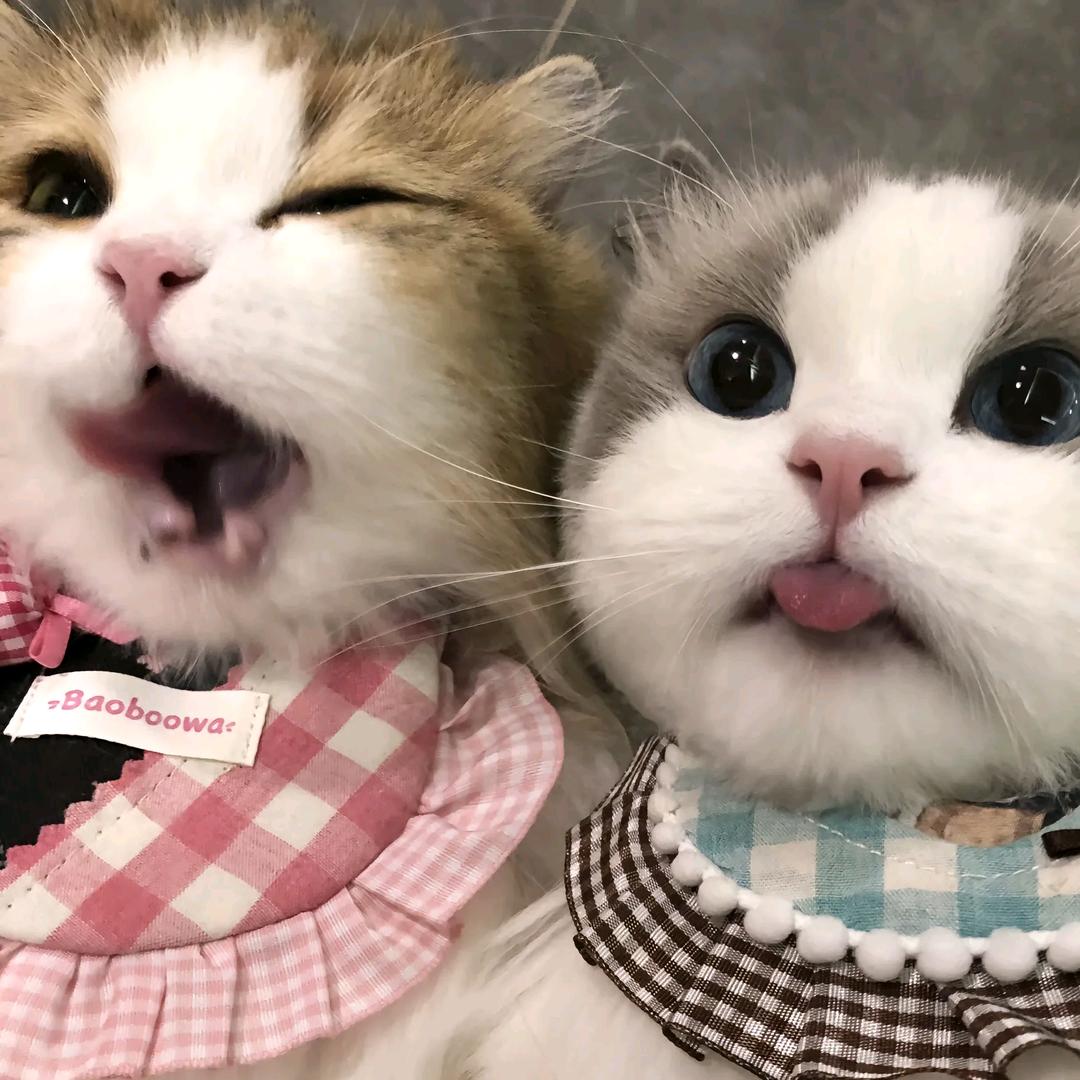略