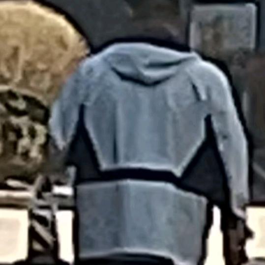 迷，跟踪，你有罪