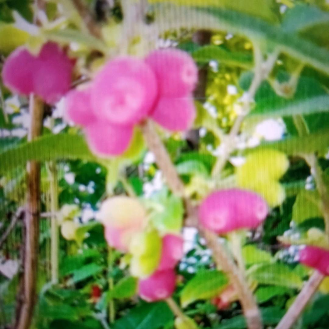 尽心随缘