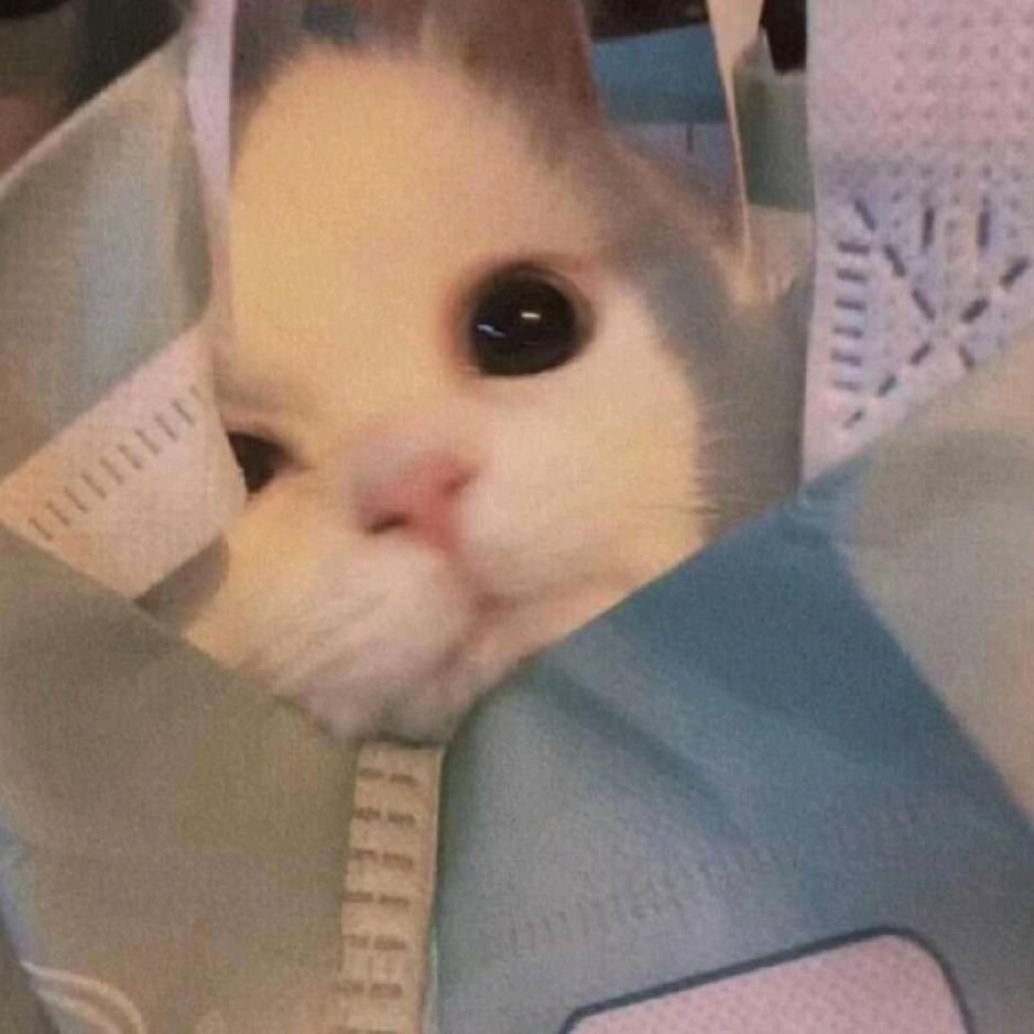 拾光而行