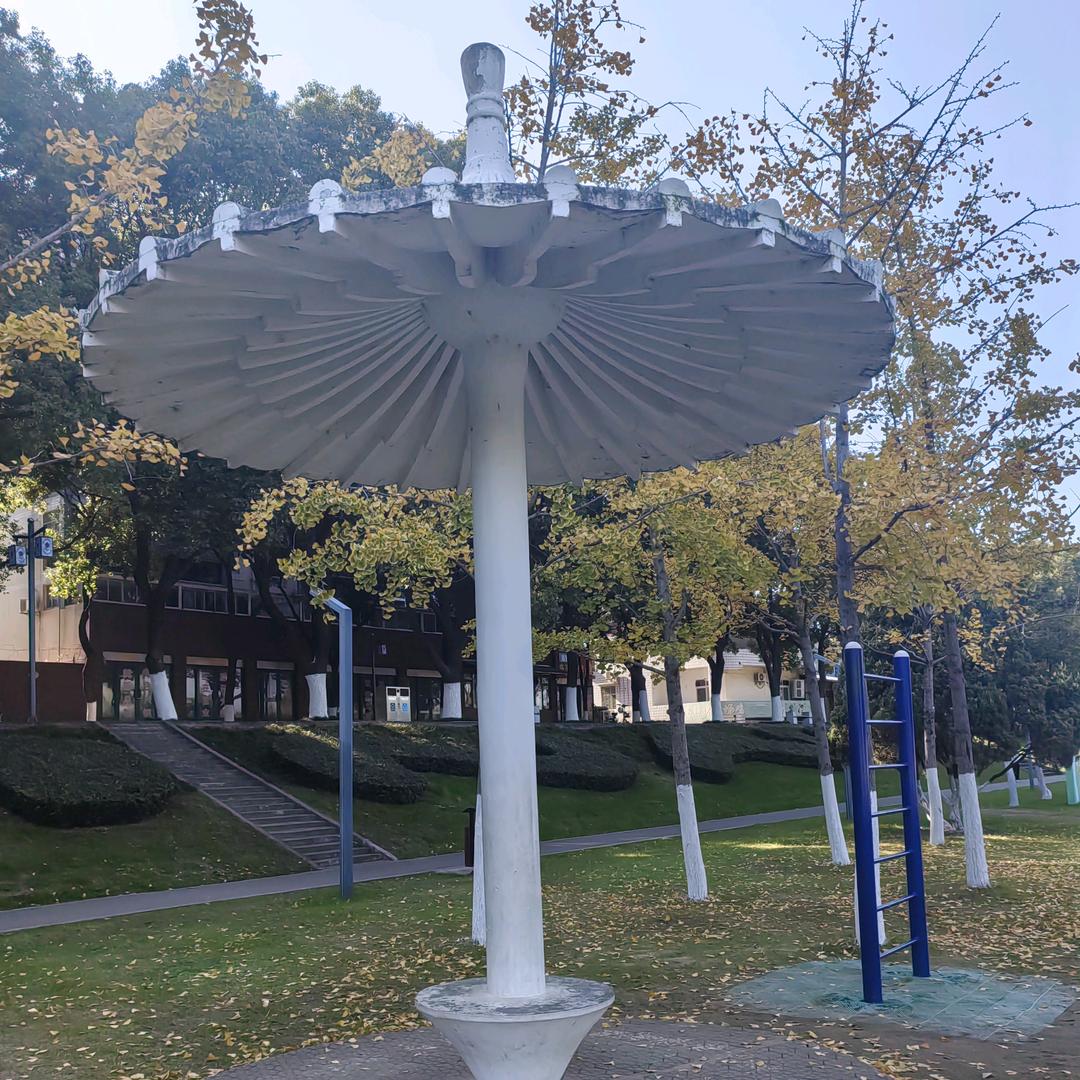 来都来了