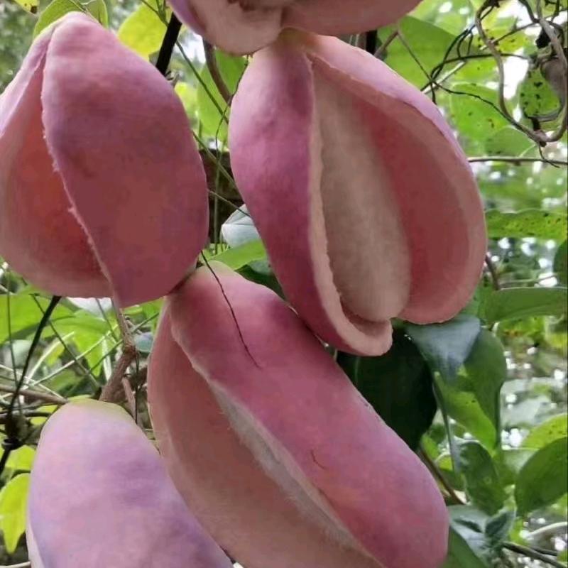 都一样