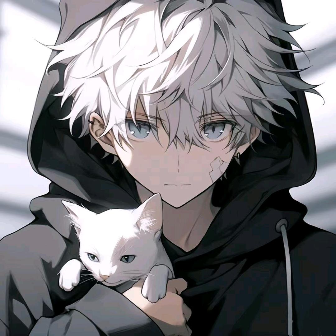 简易(巅峰带飞)