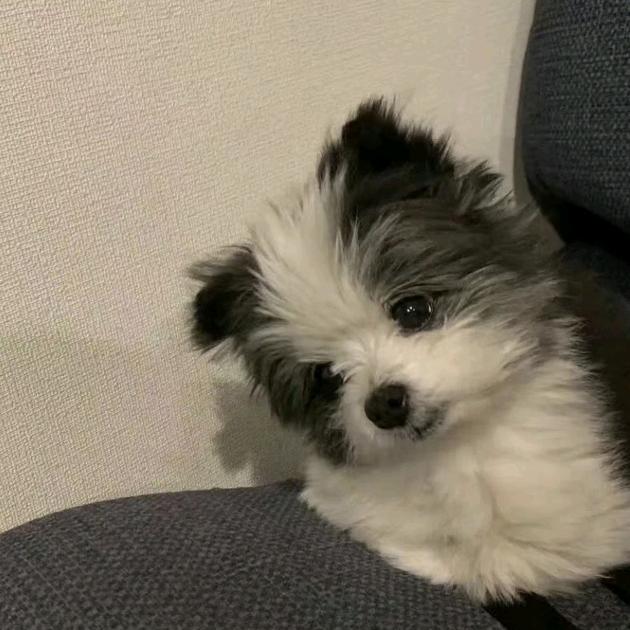 等等🫶