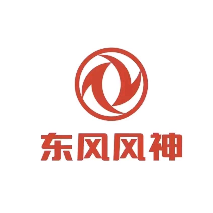 金寨大成东风风神纳米奕派用户中心