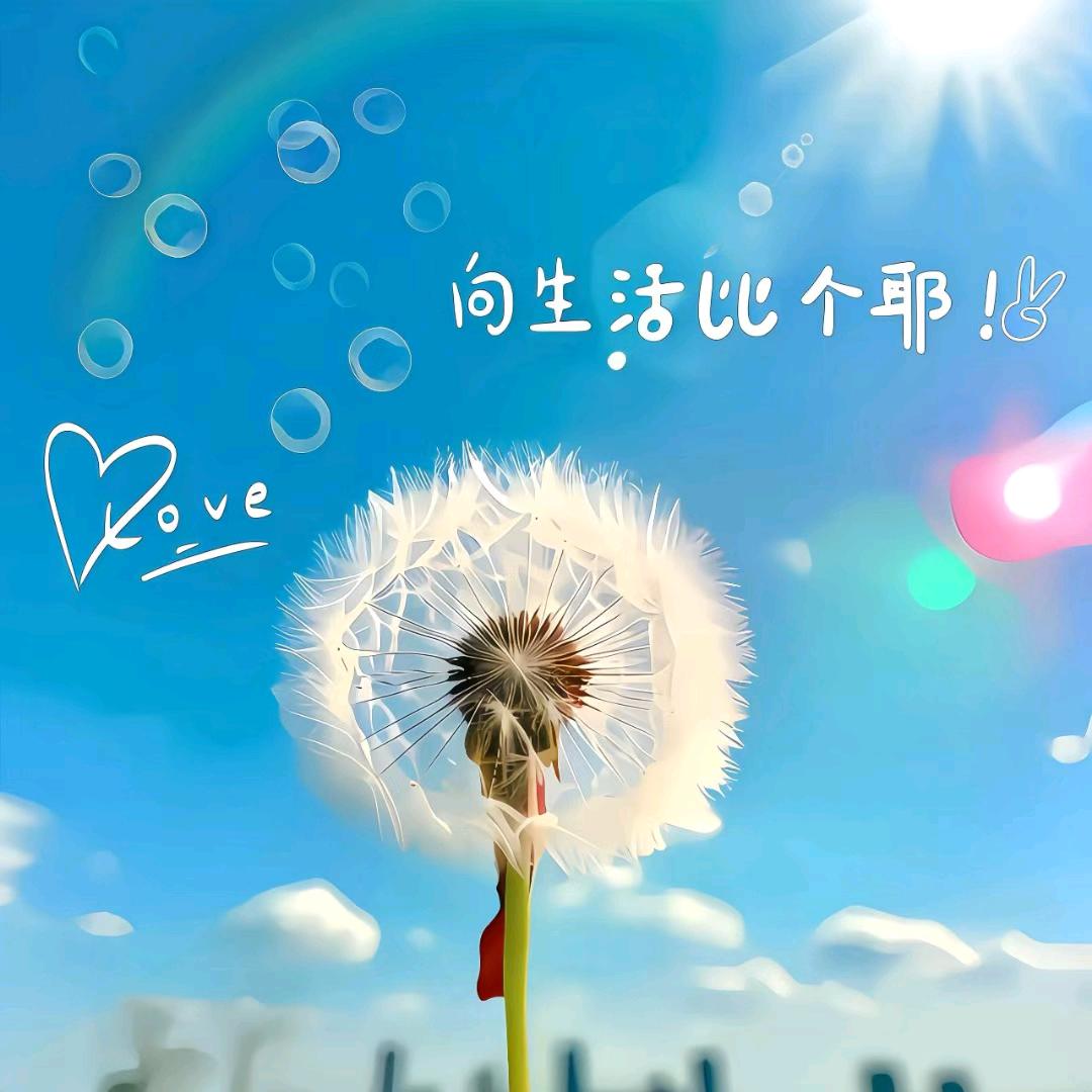 小月亮🌙