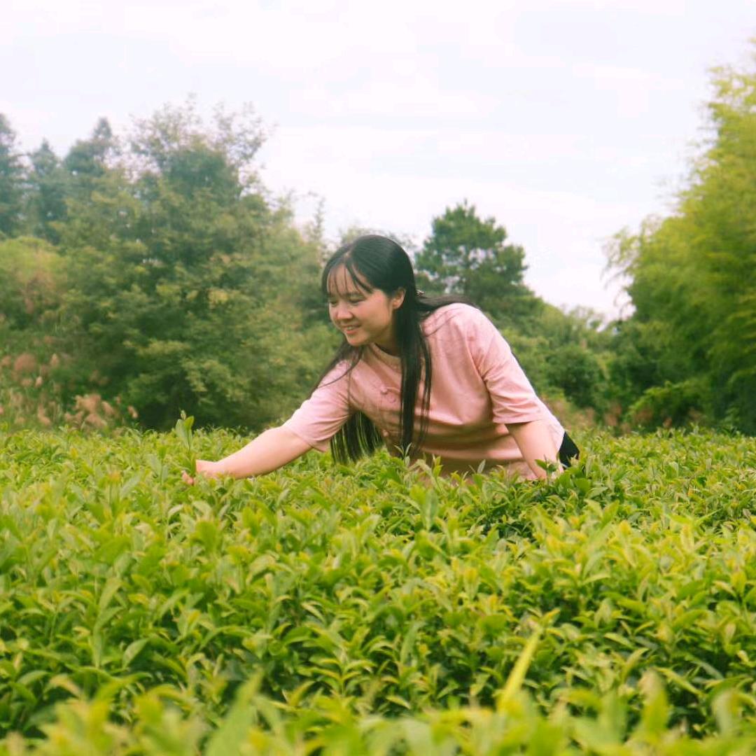 武夷小茶馆
