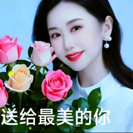 🌺回🌹忆🌷