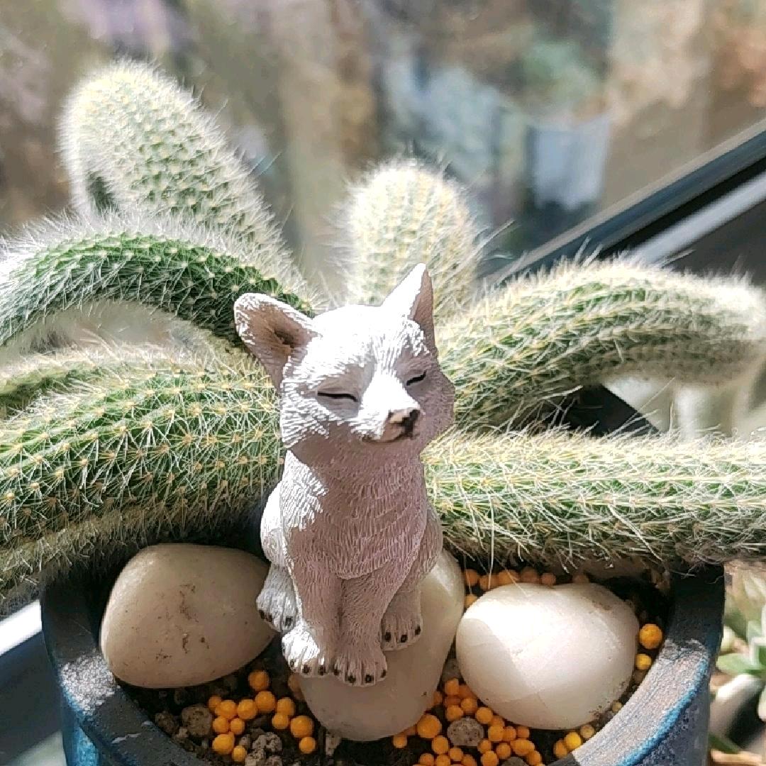 孩她爹