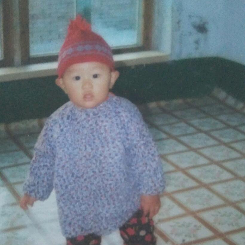 '李 Dong 贺