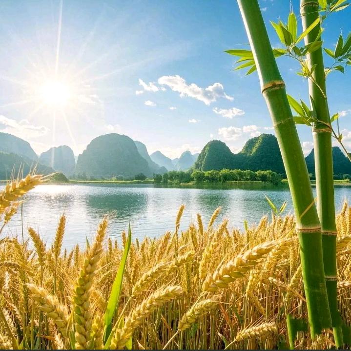 陆师傅