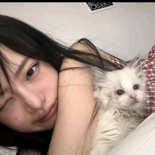 小妮子