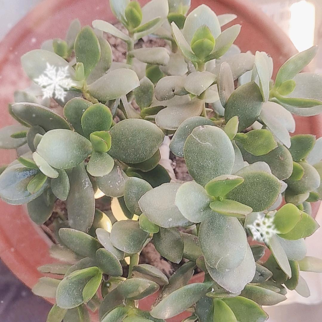 平安就是福