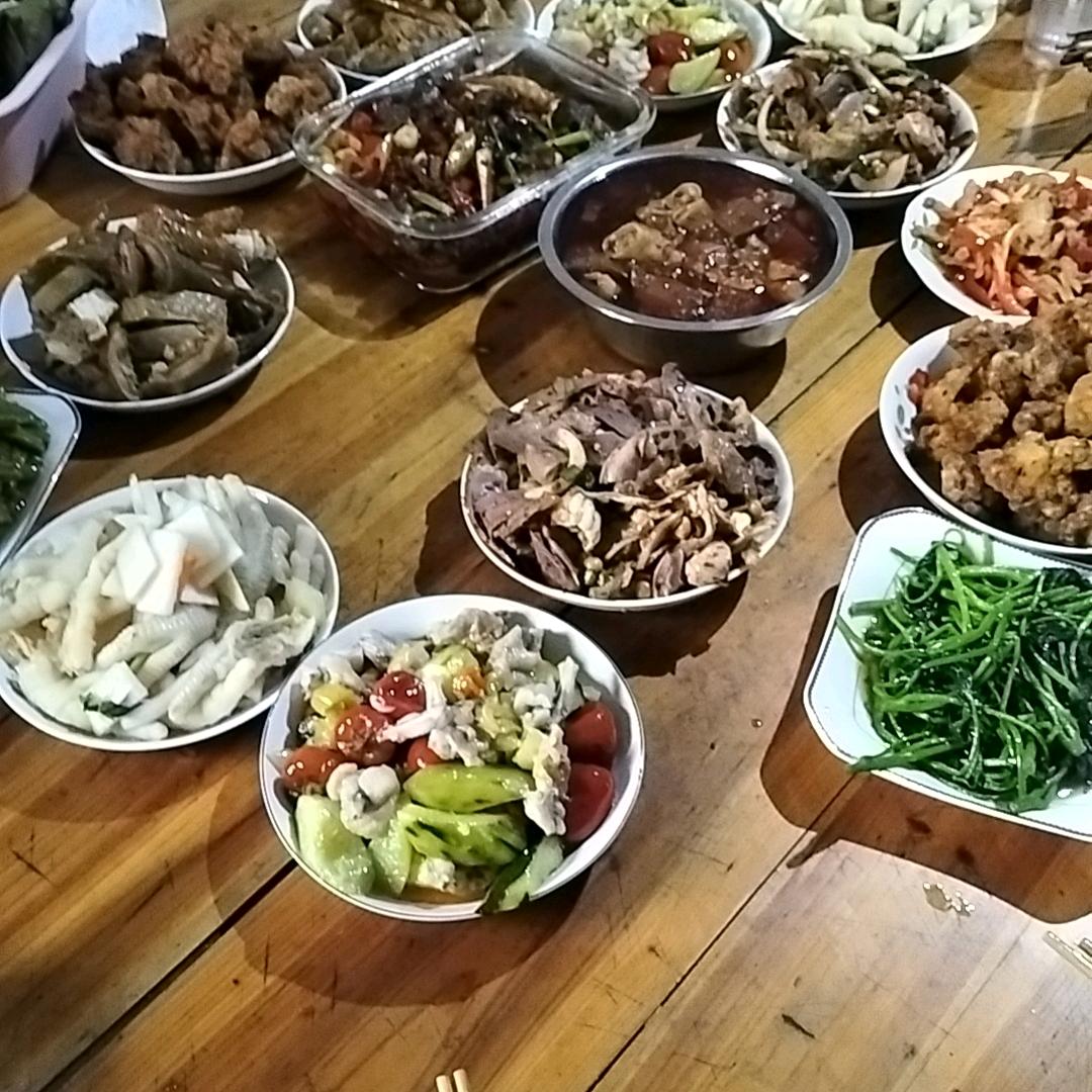 @贝贝的跟班
