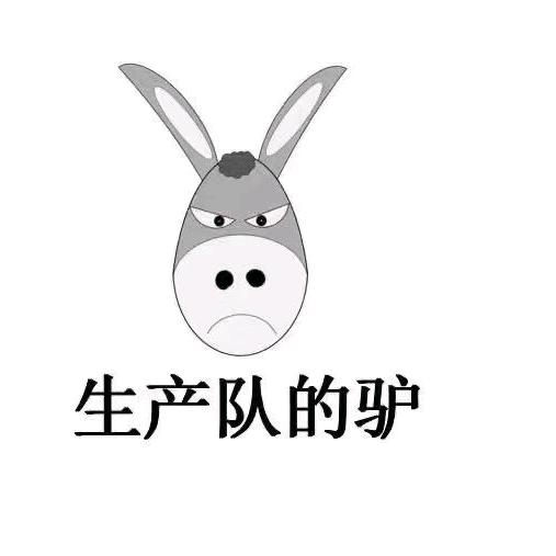 半个爱情❤️