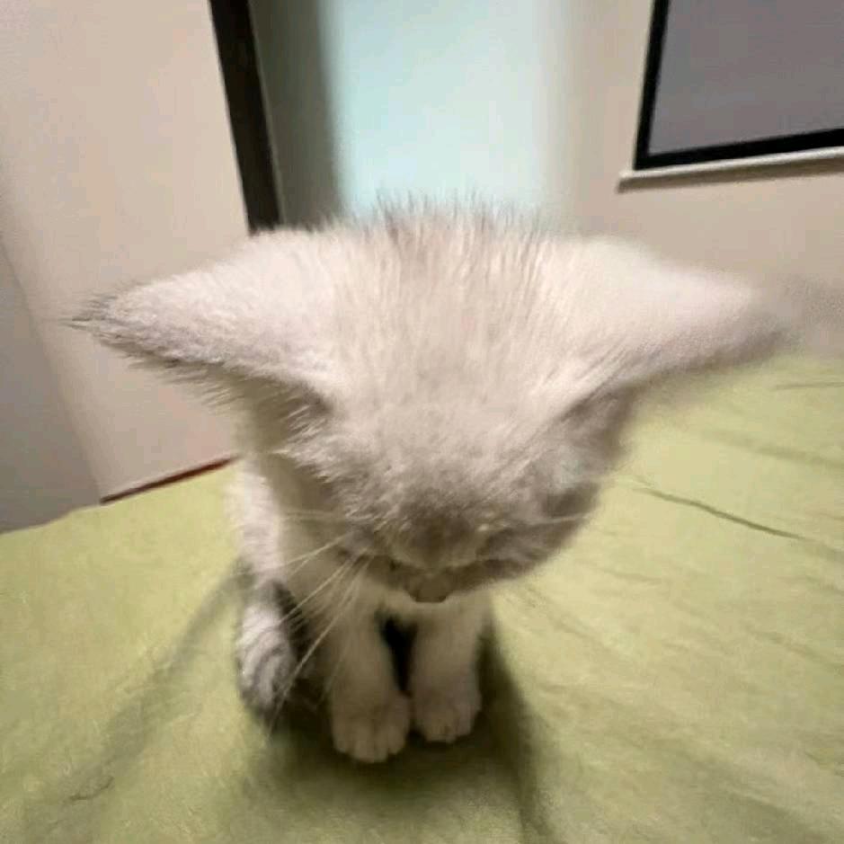 710