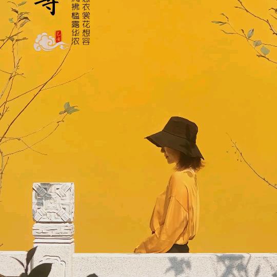 禅道一念