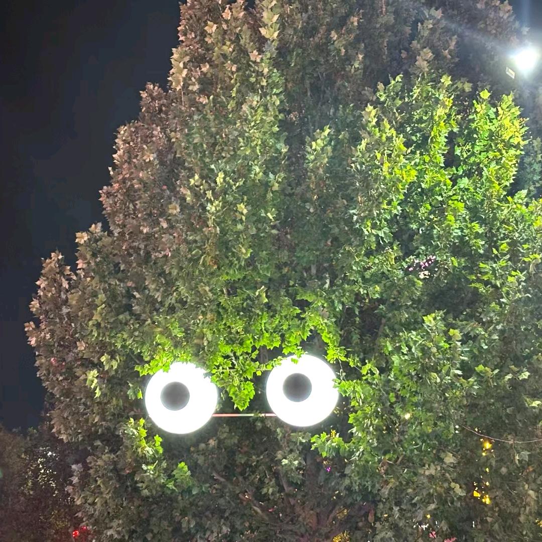 5-20