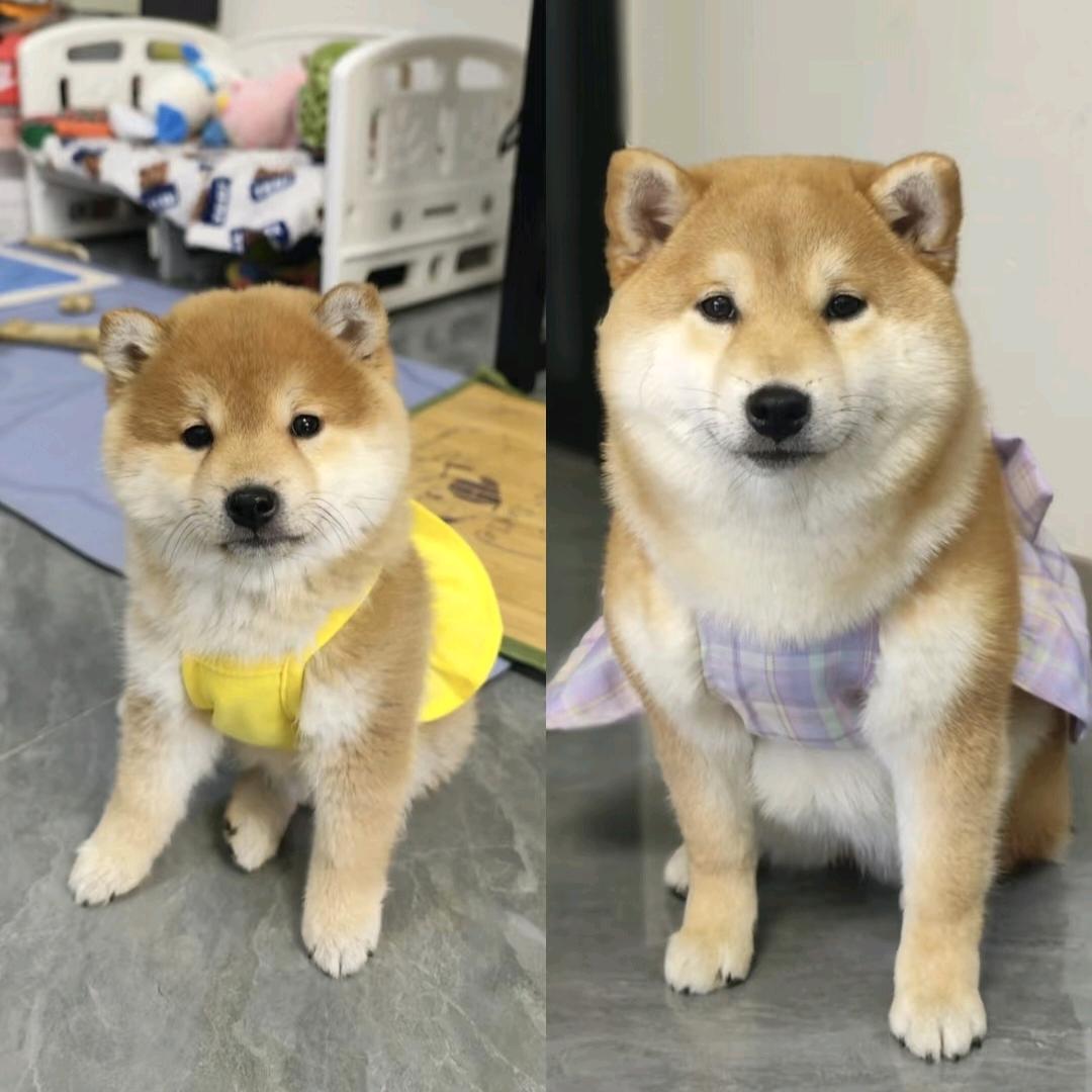 宿州市诚骁信息科技有限公司