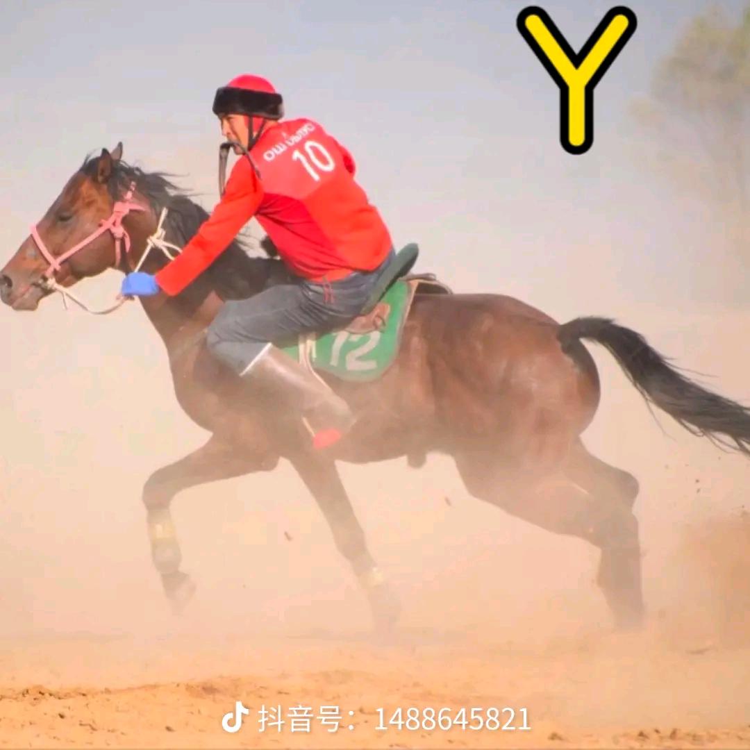 小丁神🐎